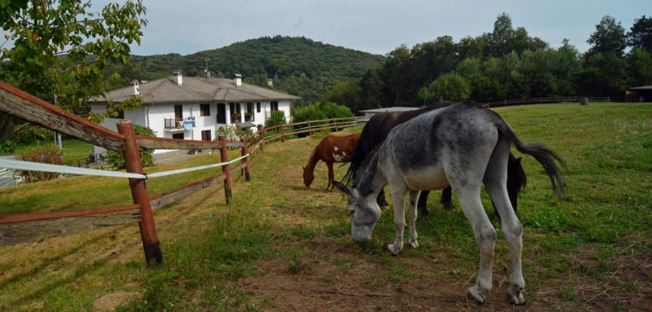 Favetto Family Ranch Bed and Breakfast Rueglio Eksteriør billede