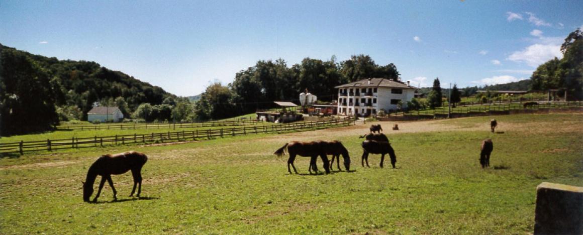 Favetto Family Ranch Bed and Breakfast Rueglio Eksteriør billede